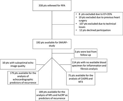 Echocardiographic and Biochemical Factors Predicting Arrhythmia Recurrence After Catheter Ablation of Atrial Fibrillation—An Observational Study